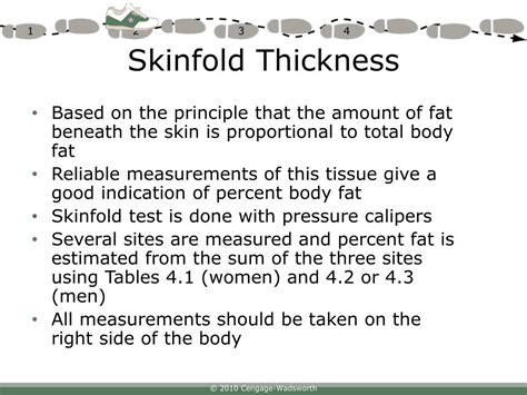 measure a double thickness of skin to assess body composition|skinfold measurements chart.